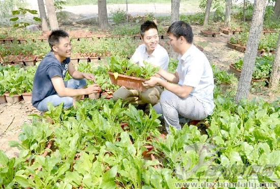 乐陵孟凡佳天高任鸟飞