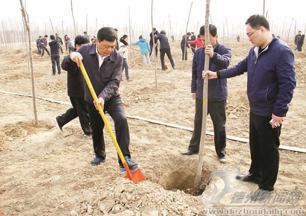 齐河县几大班子领导参加义务植树活动